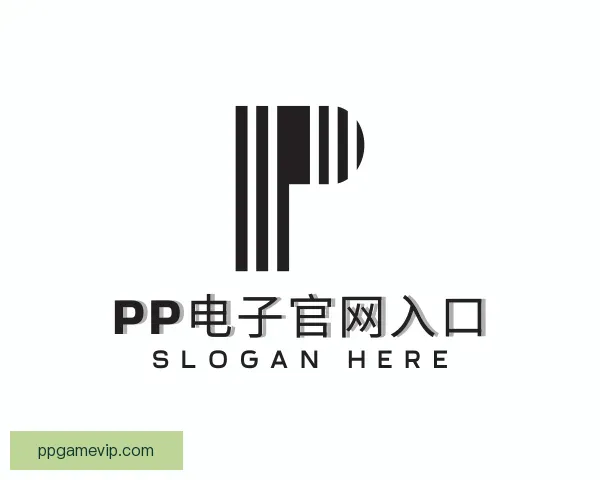 了解PP电子官网入口